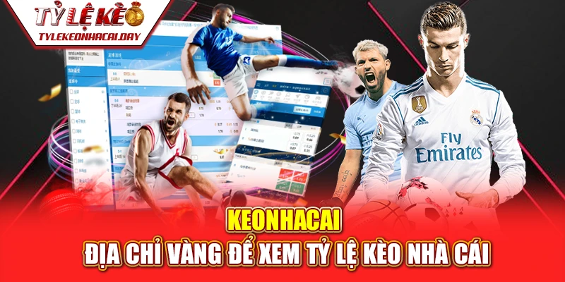 Tỷ lệ cá cược bóng đá - Cẩm nang toàn diện để chiến thắng mọi trận đấu